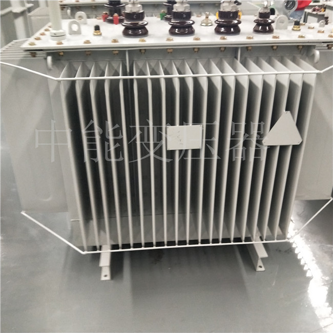 吉安S20-800KVA变压器